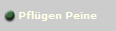 Pflgen Peine